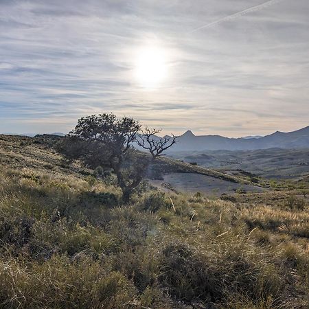 Гостьовий будинок Cortijo Claudia Taberno Екстер'єр фото