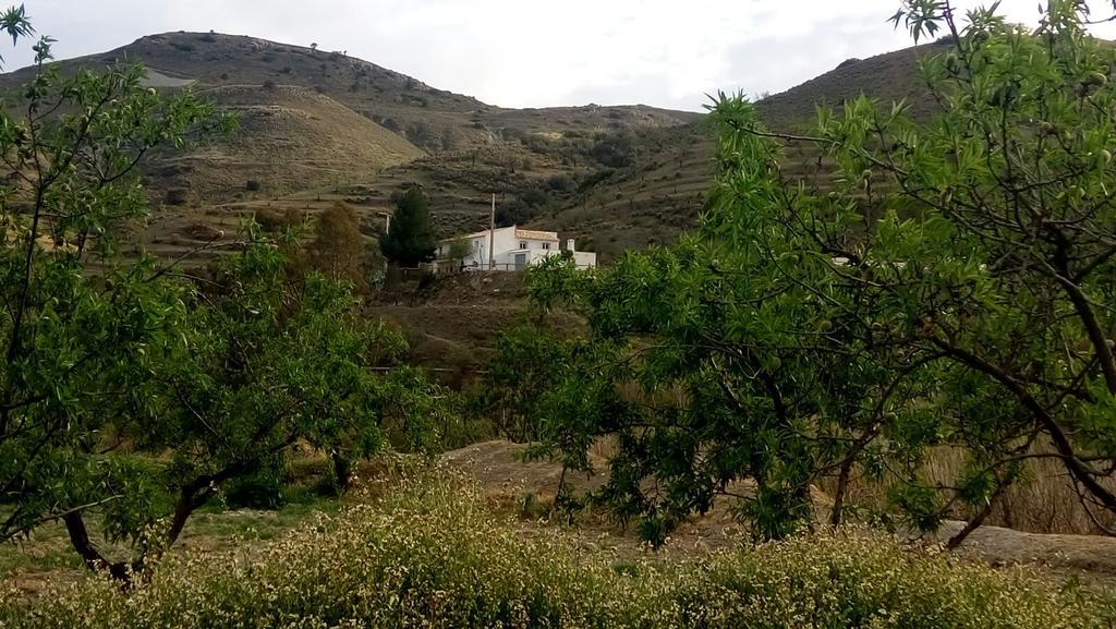 Гостьовий будинок Cortijo Claudia Taberno Екстер'єр фото