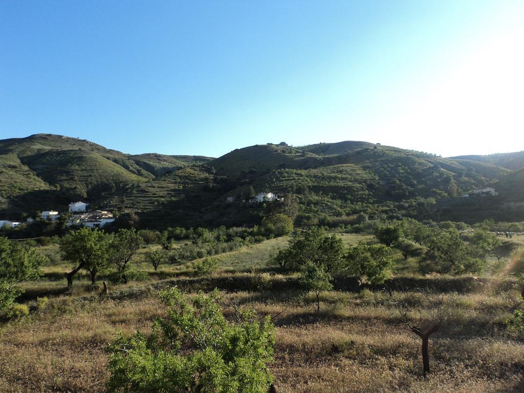Гостьовий будинок Cortijo Claudia Taberno Екстер'єр фото