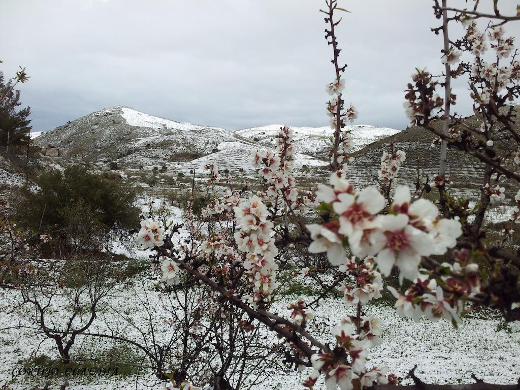 Гостьовий будинок Cortijo Claudia Taberno Екстер'єр фото
