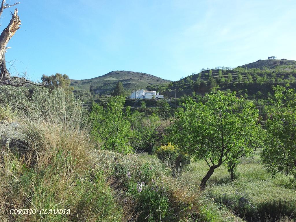 Гостьовий будинок Cortijo Claudia Taberno Екстер'єр фото