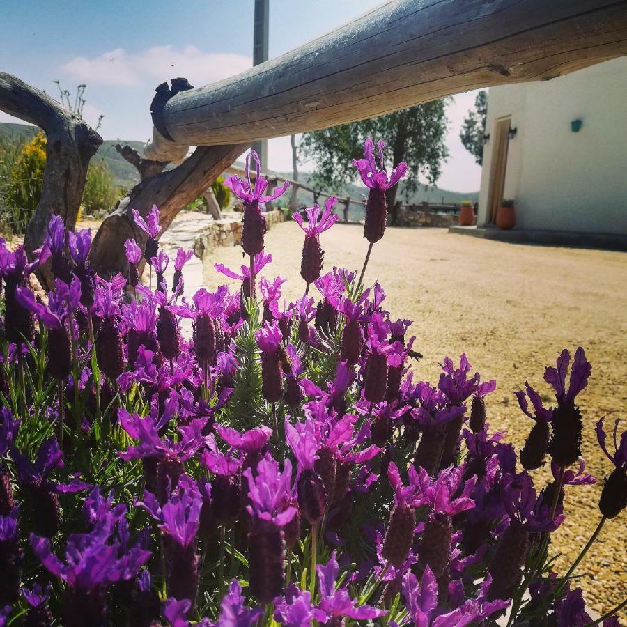 Гостьовий будинок Cortijo Claudia Taberno Екстер'єр фото